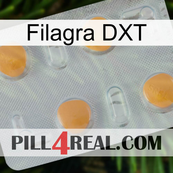 Filagra DXT 24.jpg